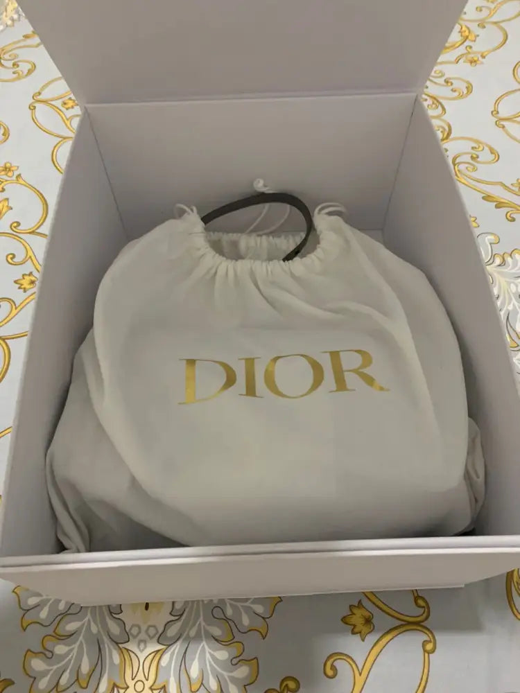 Dior Caro Medium 2023 Crossbody Bag