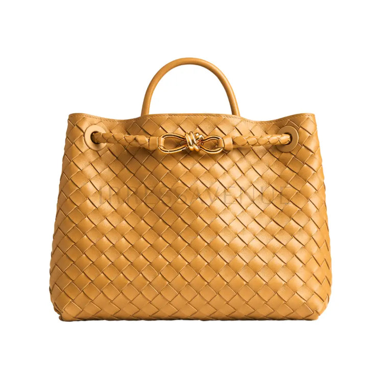 Bottega Veneta Andiamo Medium Handbag