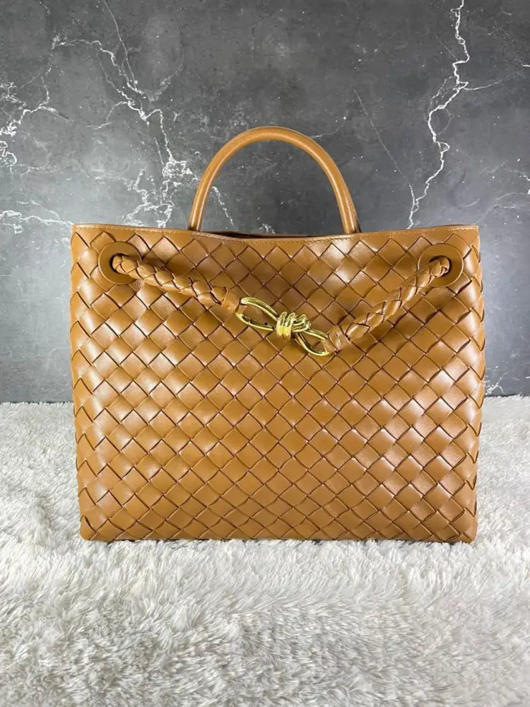 Bottega Veneta Andiamo Medium Handbag