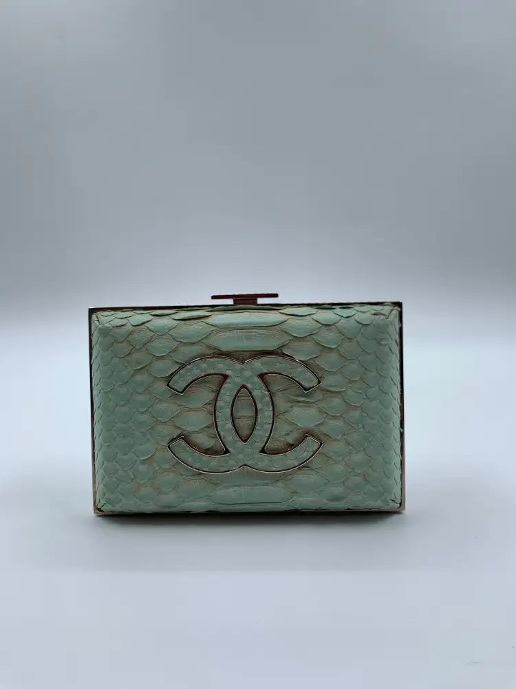 Chanel Blue Mint Phyton #16 (2012) Pouch & Clutch