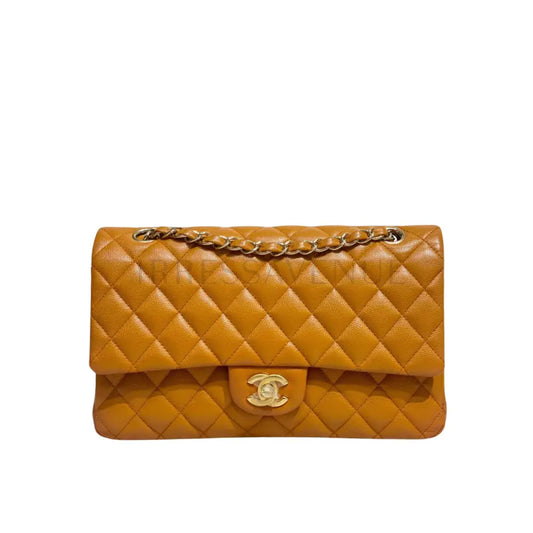 Chanel Classic Caramel Lghw 2022 Crossbody Bag