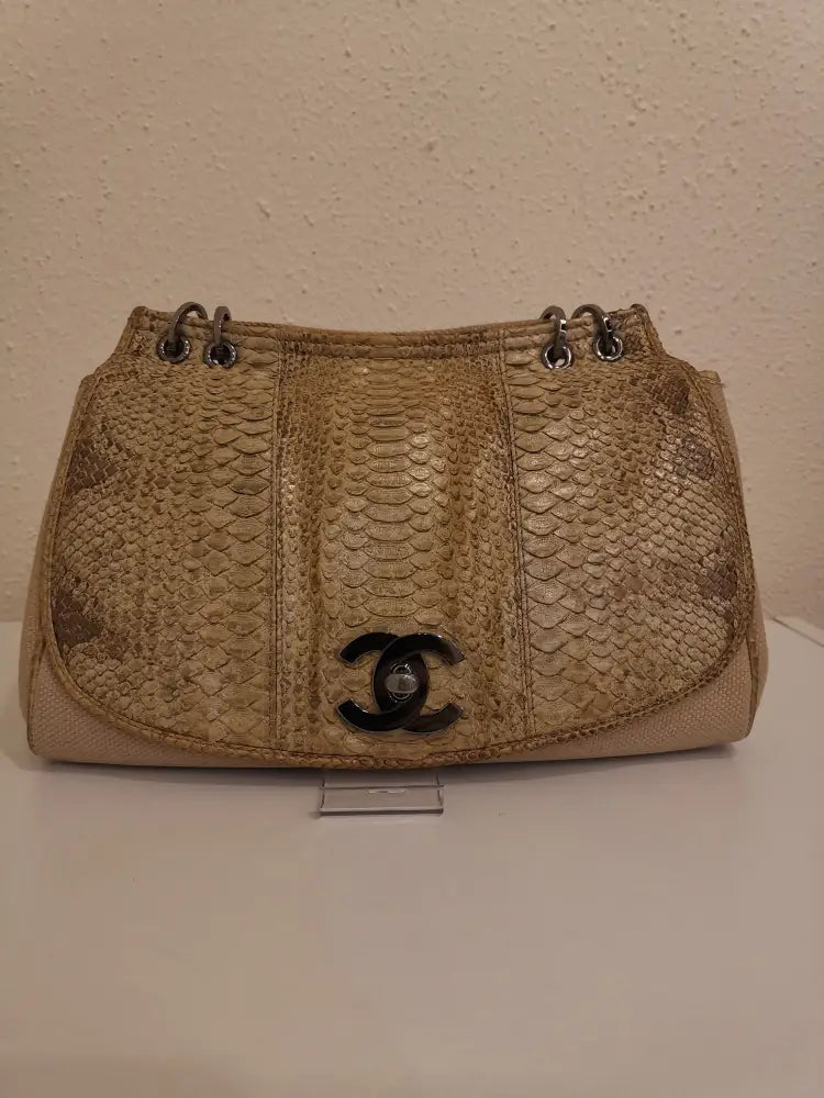 Chanel Flap Shoulder Bag Canvas & Python Shw #8 Bag