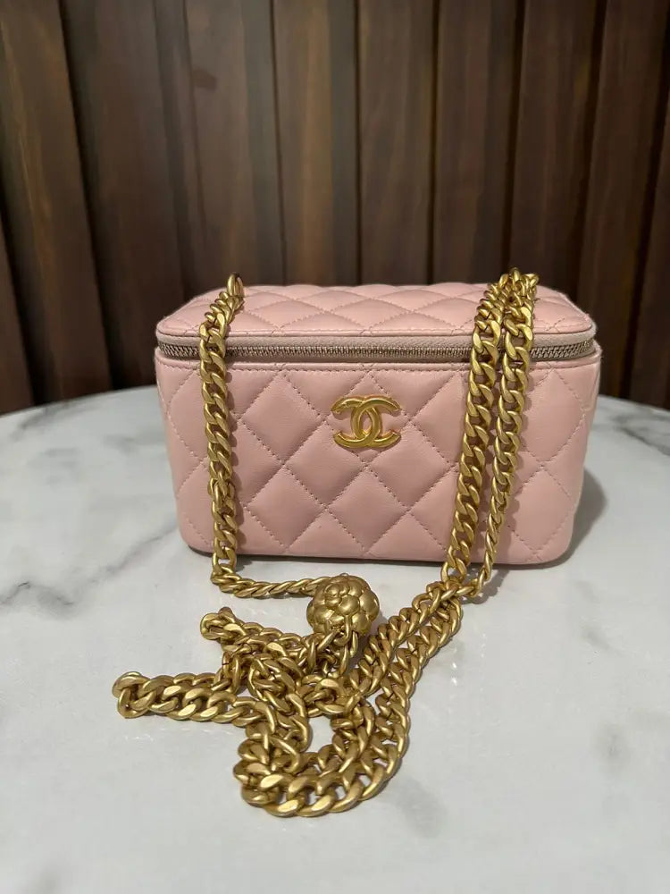 Chanel Vanity 23S In Light Pink Camelia Crush Chain Ghw 2023 Crossbody Bag