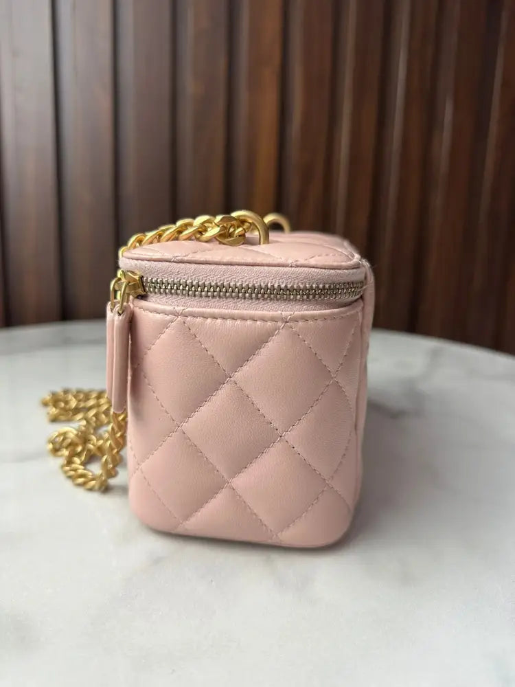 Chanel Vanity 23S In Light Pink Camelia Crush Chain Ghw 2023 Crossbody Bag