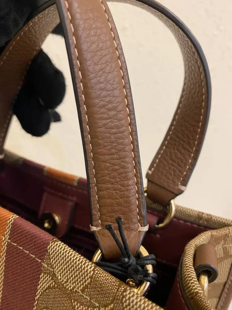 Coach Dempsey Tote Brown 2024 Crossbody Bag