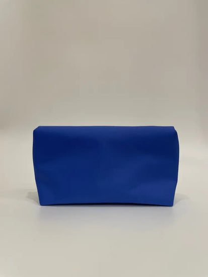 Longchamp Pouch Blue & Clutch