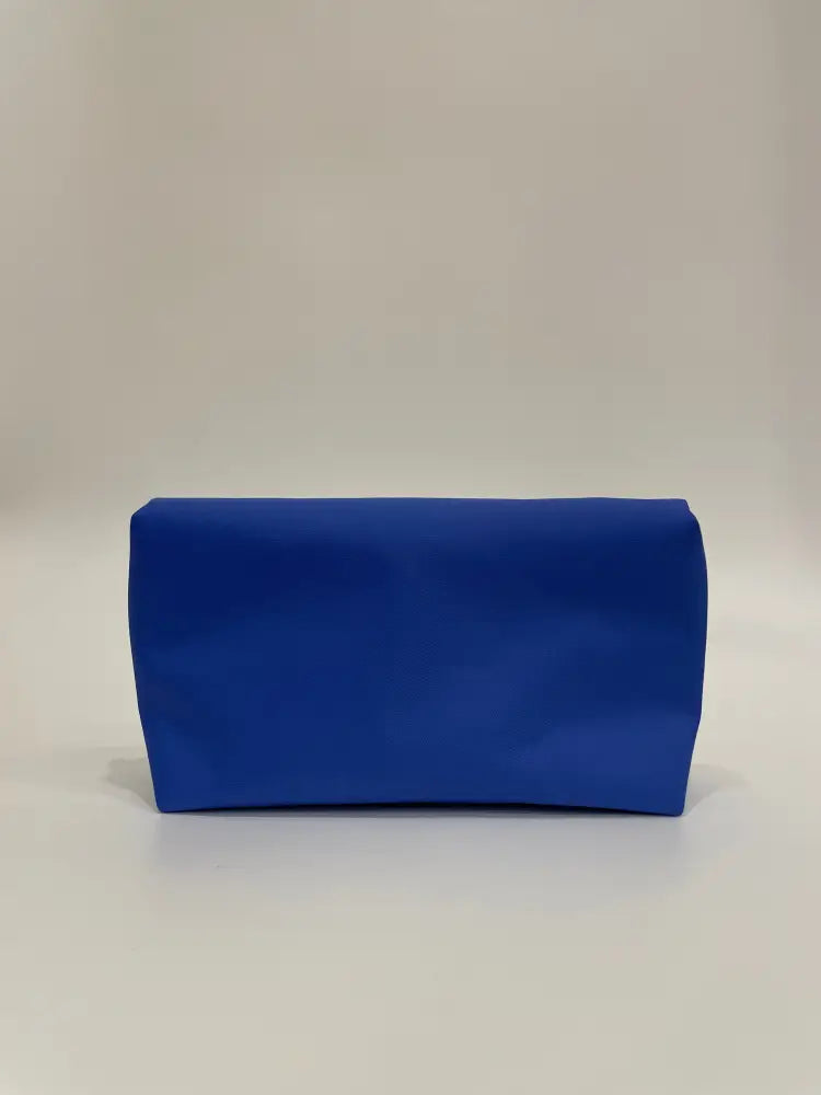 Longchamp Pouch Blue & Clutch