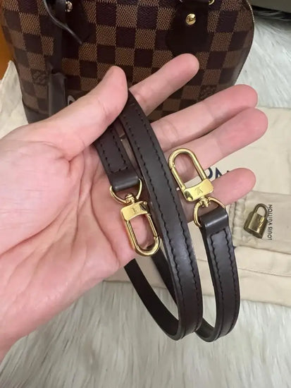 Louis Vuitton Alma Bb Damier Ebene 2019 Shoulder Bag