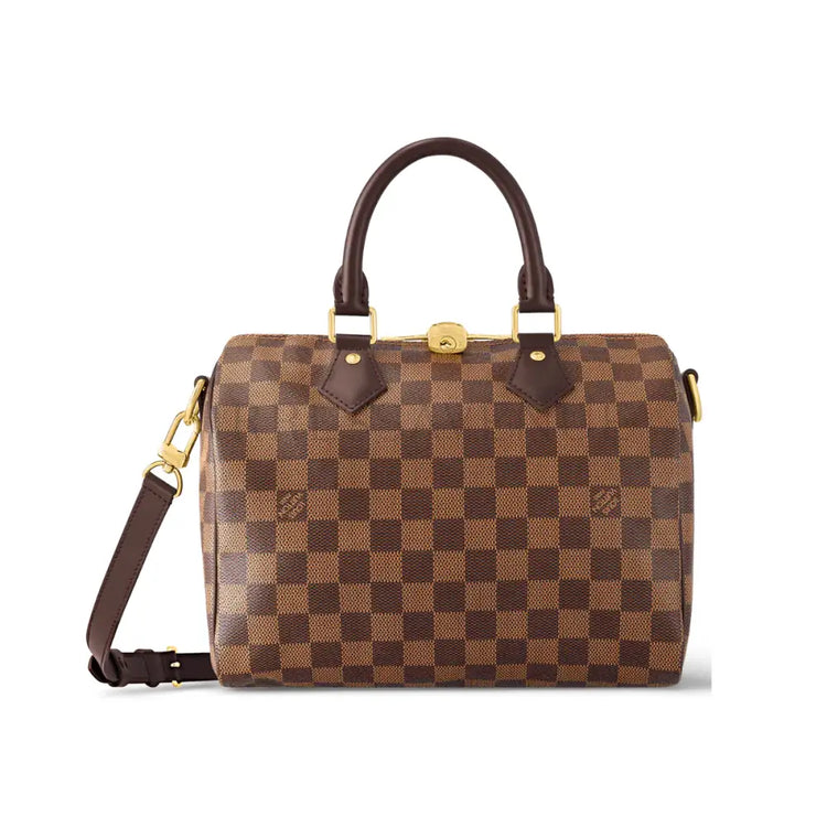 Louis Vuitton Bandou 25 Damier Ebene 2023 Handbag